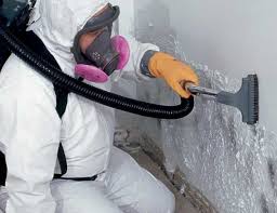 Best Airborne Mold Testing  in USA